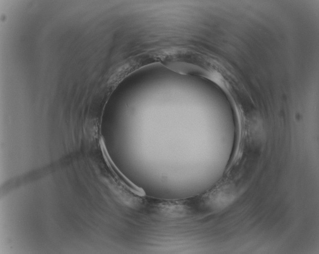 X0000073900284200609011726