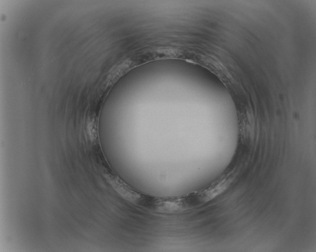 X0000073900285200609011726