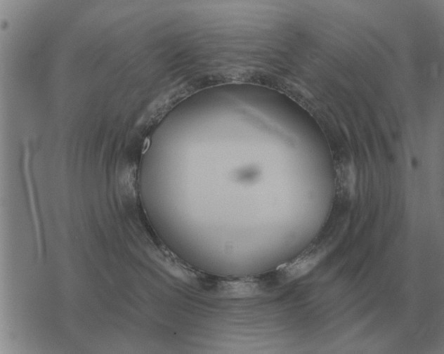 X0000073900286200609011726