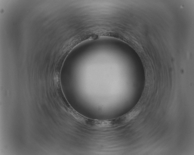 X0000073900288200609011726