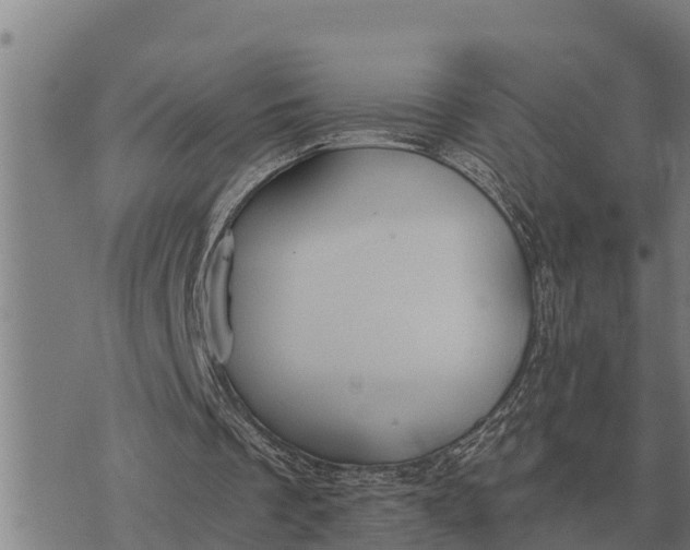 X0000073900289200609011725