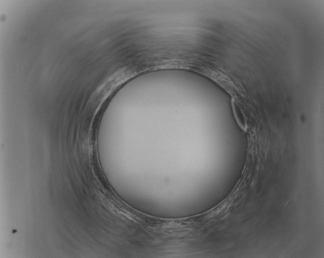 X0000073900290200609011725