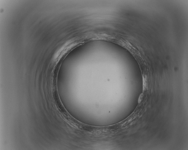 X0000073900291200609011725