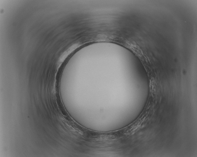 X0000073900292200609011725