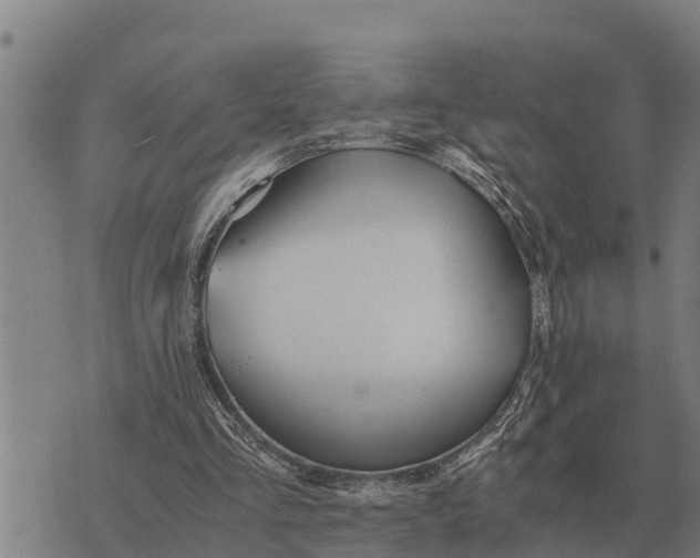 X0000073900293200609011725