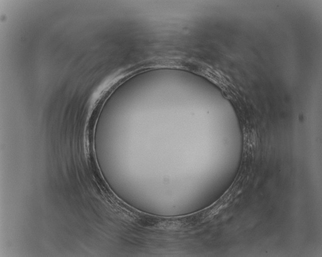 X0000073900294200609011725