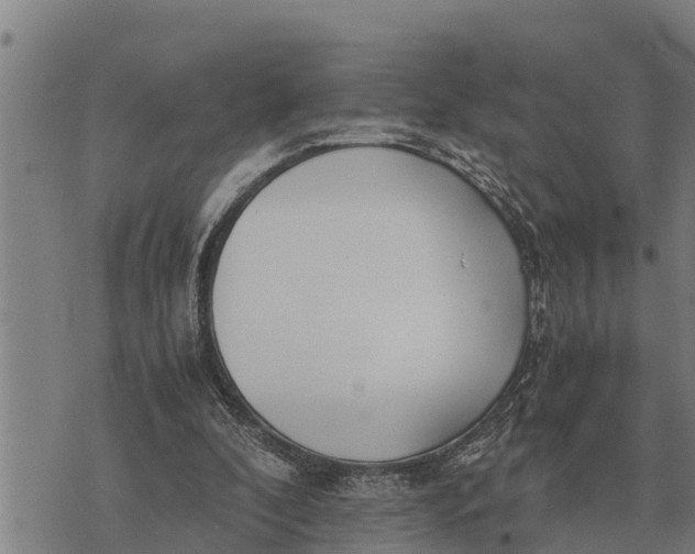 X0000073900296200609011725