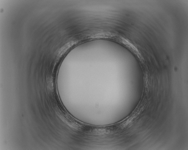 X0000073900298200609011725