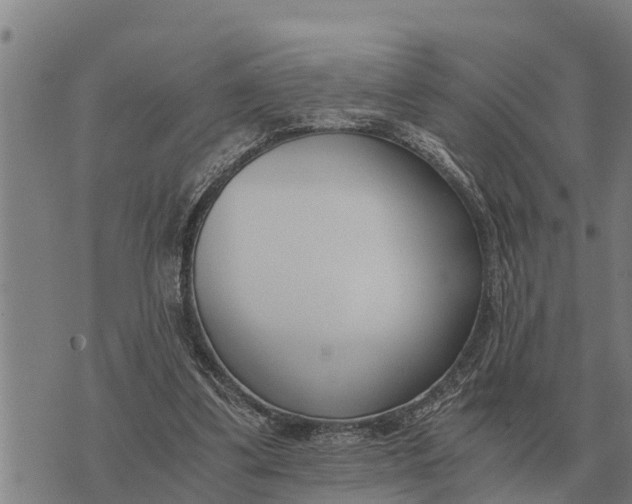 X0000073900299200609011725