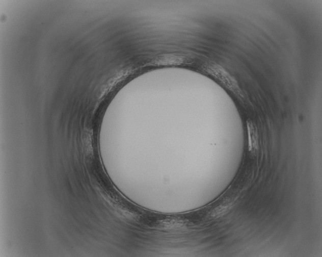 X0000073900300200609011725