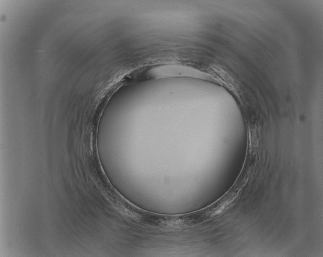 X0000073900301200609011725