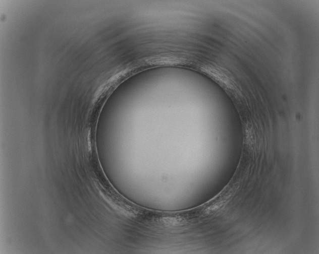 X0000073900302200609011725