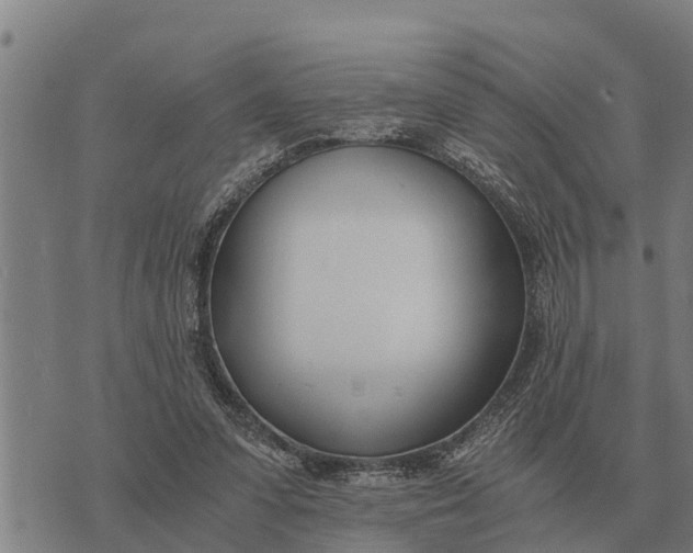 X0000073900303200609011725