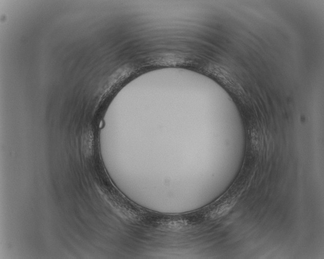 X0000073900304200609011725