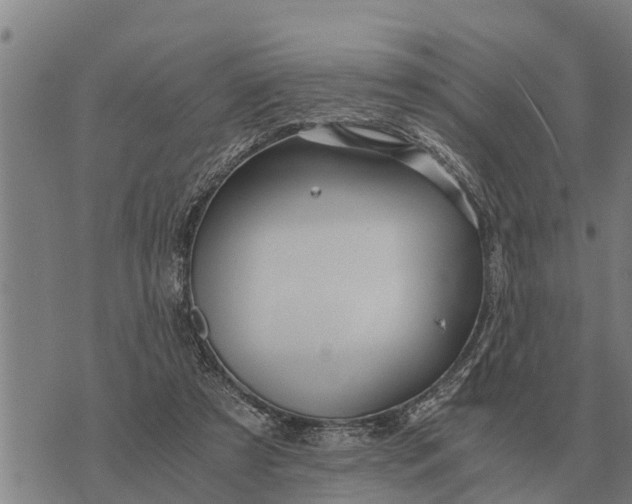 X0000073900305200609011725