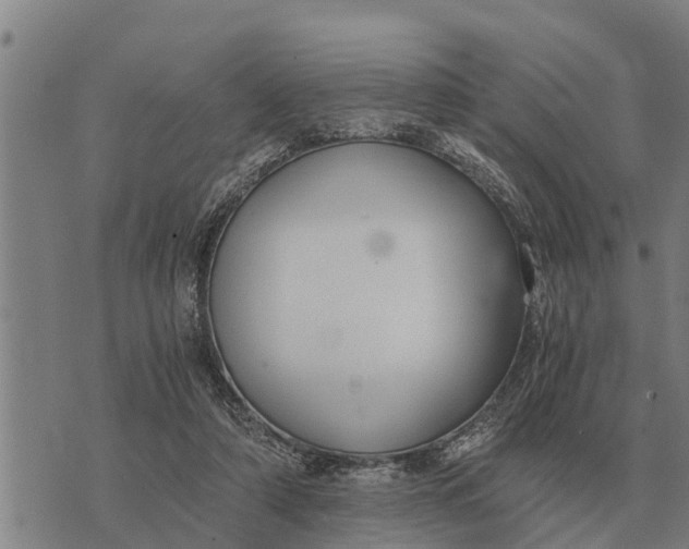 X0000073900306200609011725