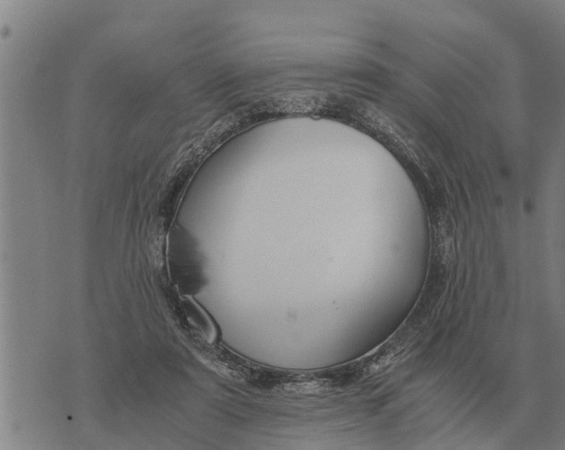 X0000073900307200609011725