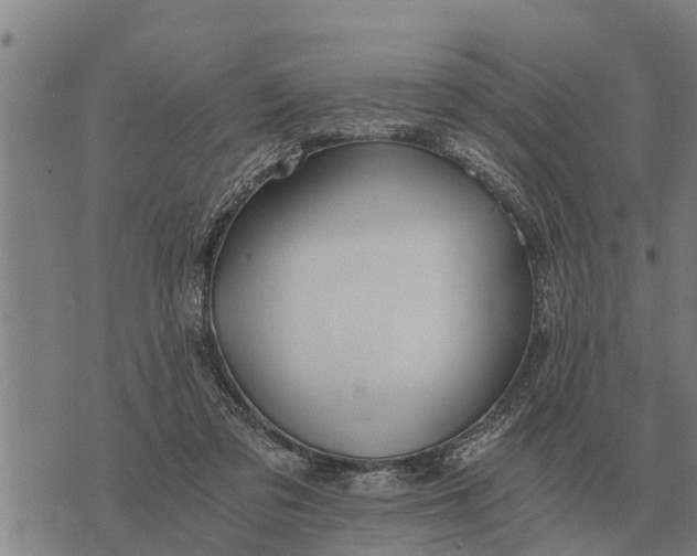 X0000073900309200609011725