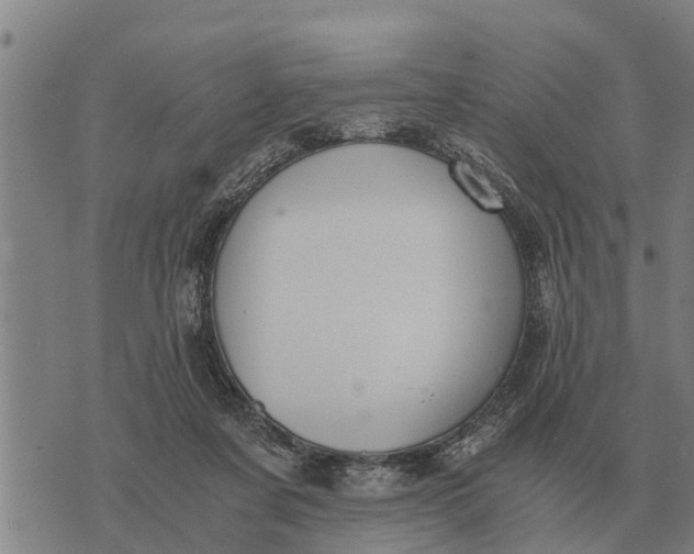 X0000073900311200609011725