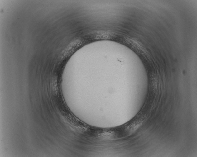 X0000073900312200609011725