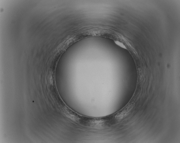 X0000073900313200609011725