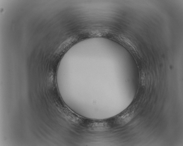 X0000073900314200609011725