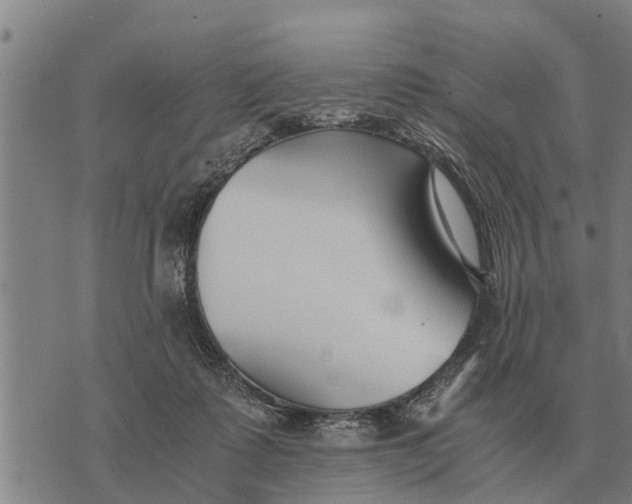 X0000073900315200609011725