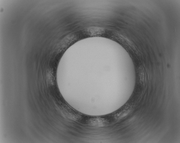 X0000073900316200609011725