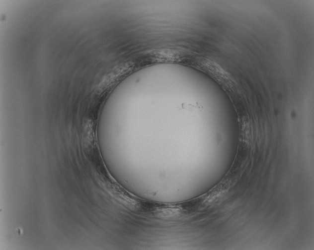 X0000073900318200609011725