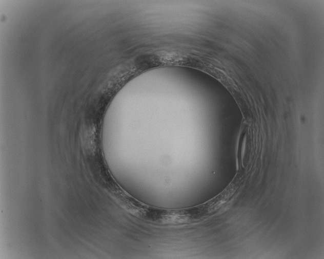 X0000073900319200609011725