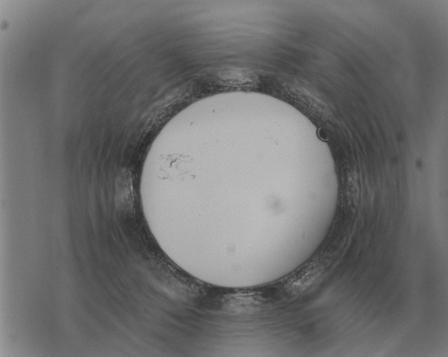 X0000073900320200609011725