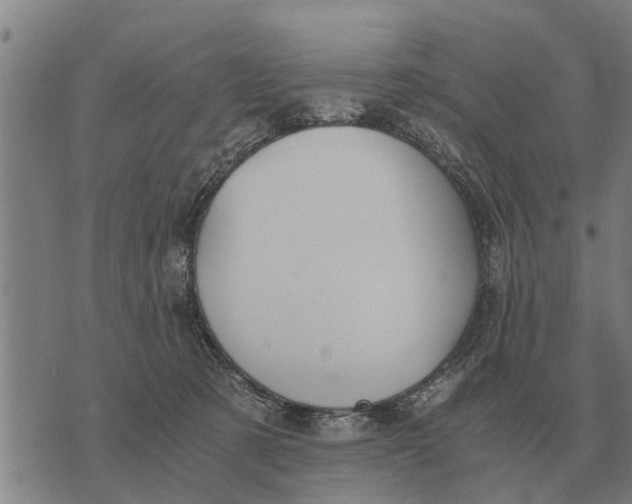 X0000073900321200609011725