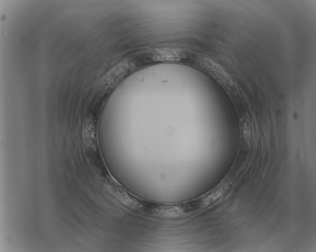 X0000073900322200609011725