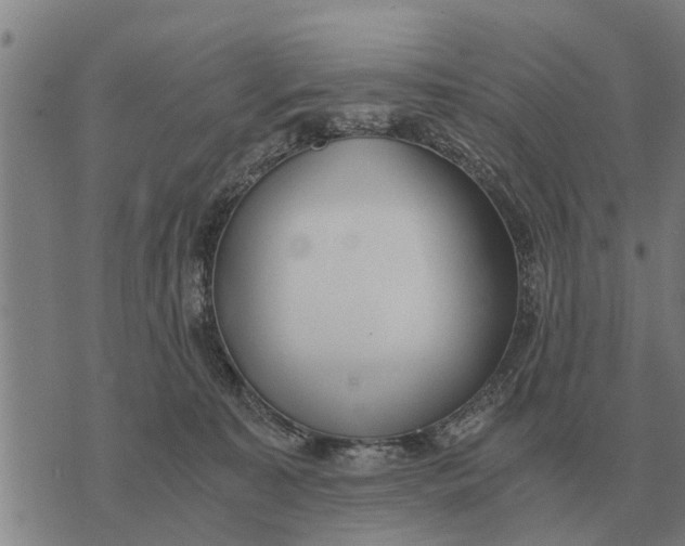 X0000073900323200609011725