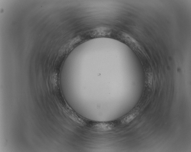 X0000073900326200609011725