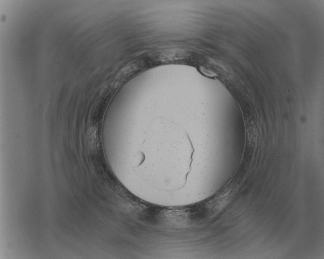 X0000073900327200609011725