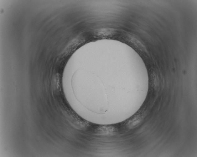 X0000073900328200609011725