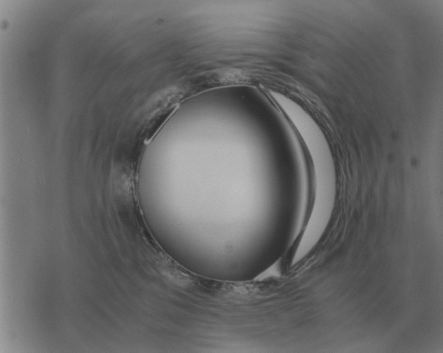 X0000073900329200609011725