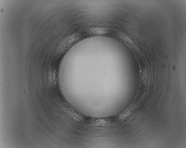 X0000073900330200609011725