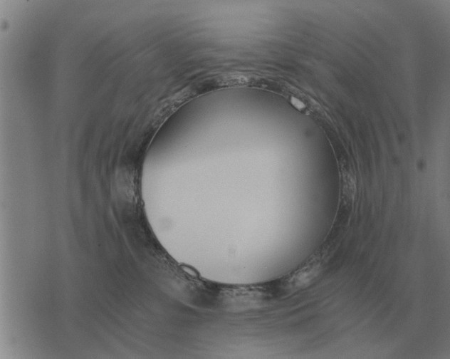 X0000073900331200609011725