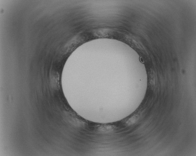 X0000073900332200609011725