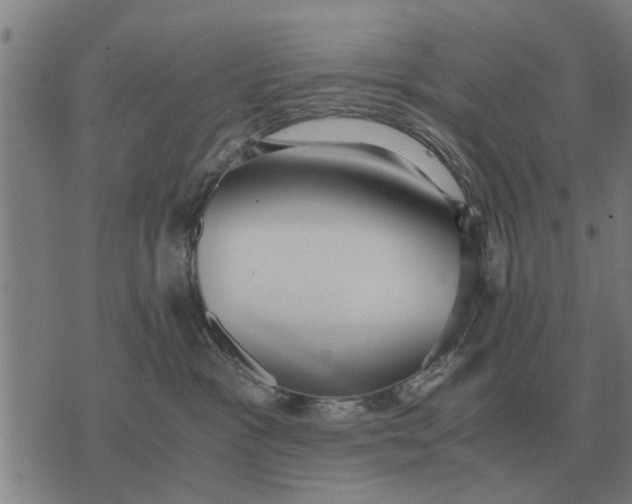 X0000073900333200609011725