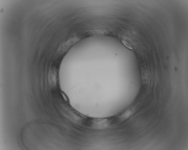 X0000073900334200609011724