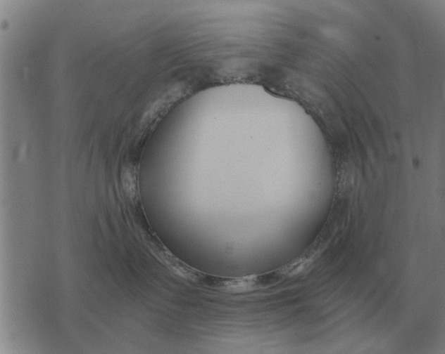 X0000073900335200609011724