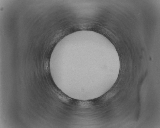 X0000073900336200609011724