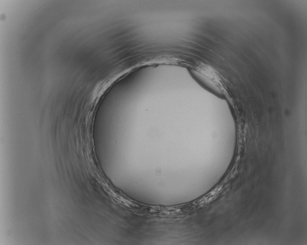 X0000073900337200609011724