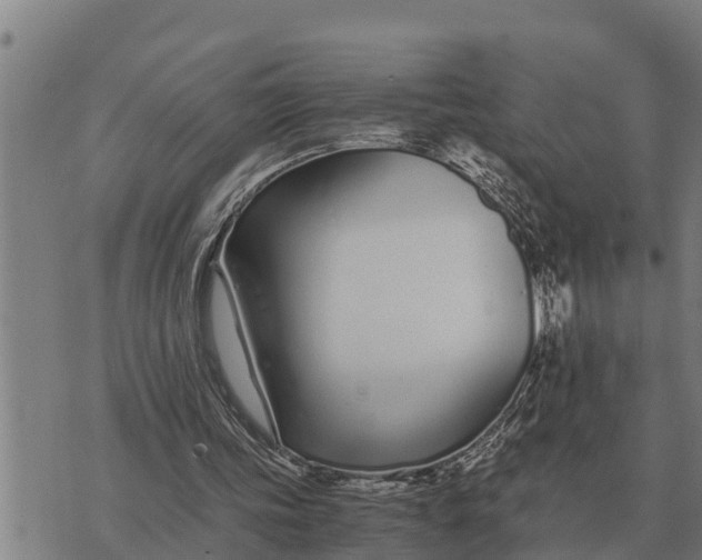 X0000073900339200609011724