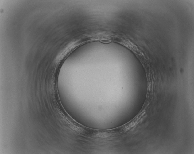 X0000073900341200609011724