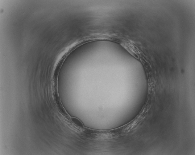 X0000073900342200609011724