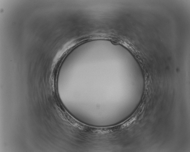 X0000073900343200609011724